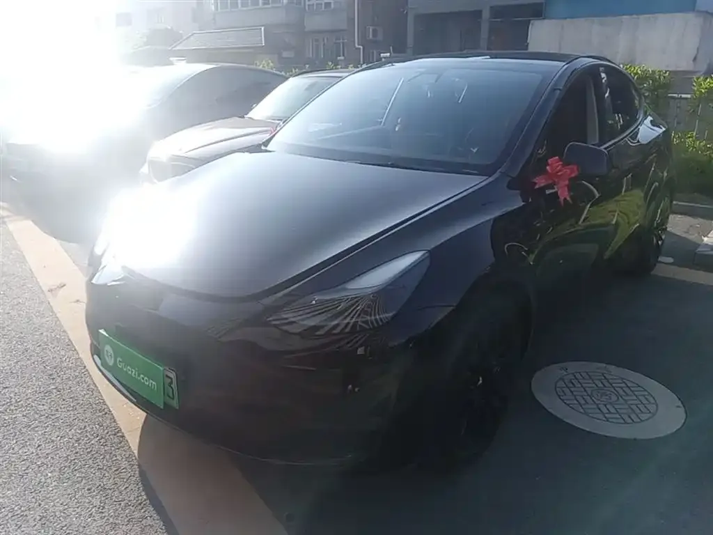 Tesla Model Y — фото 9
