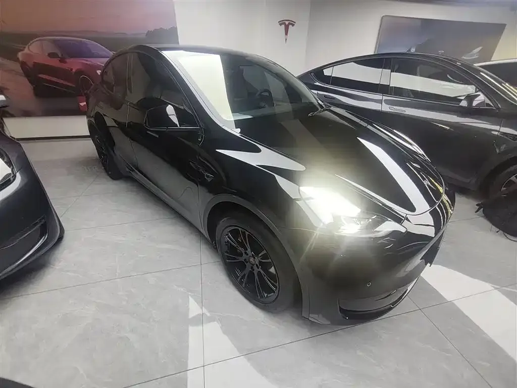 Tesla Model Y — фото 6