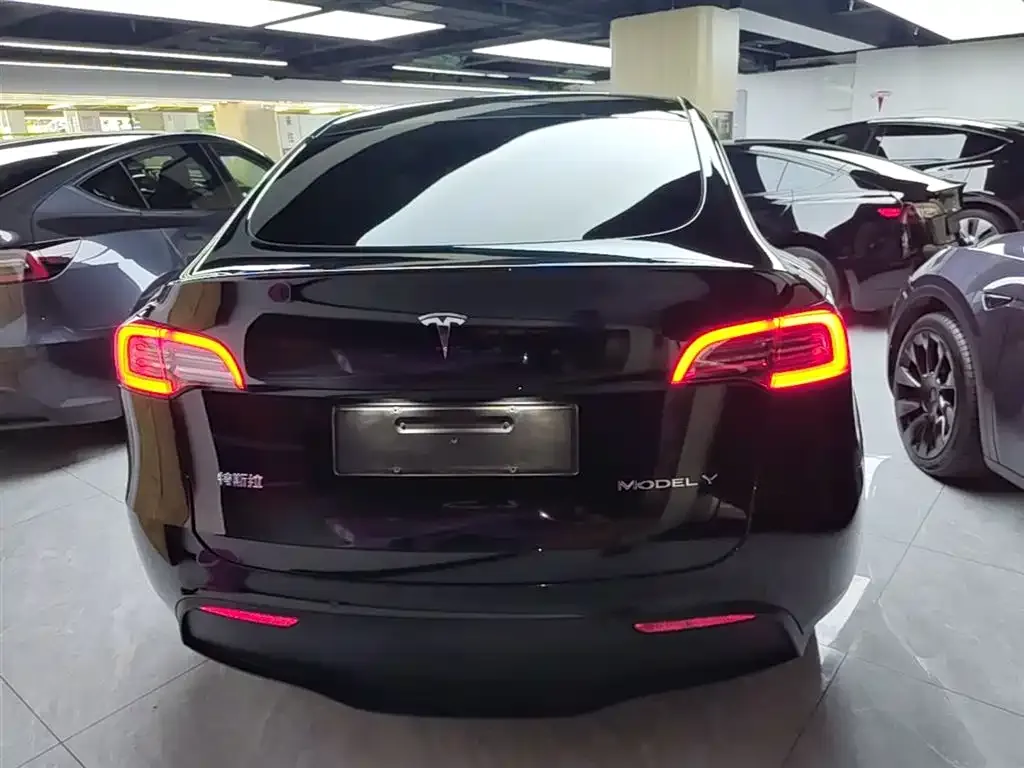 Tesla Model Y — фото 8