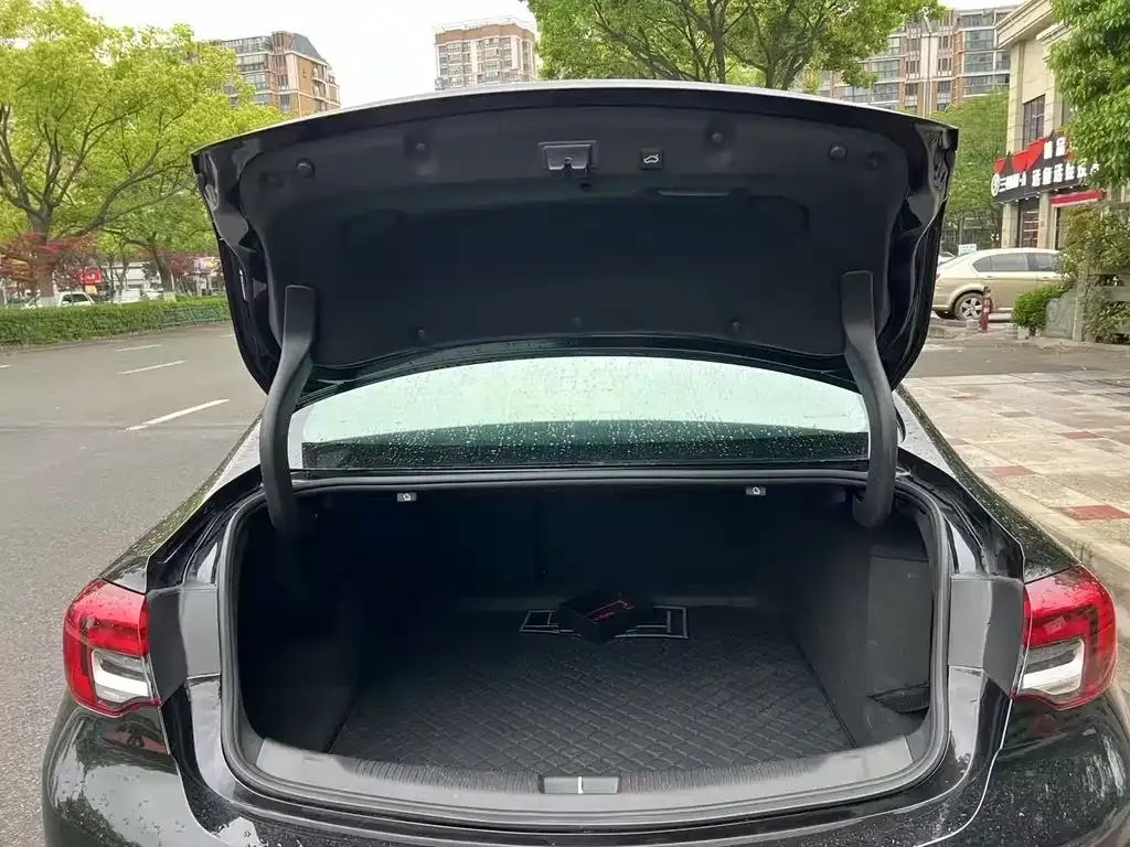 Buick Regal — фото 8