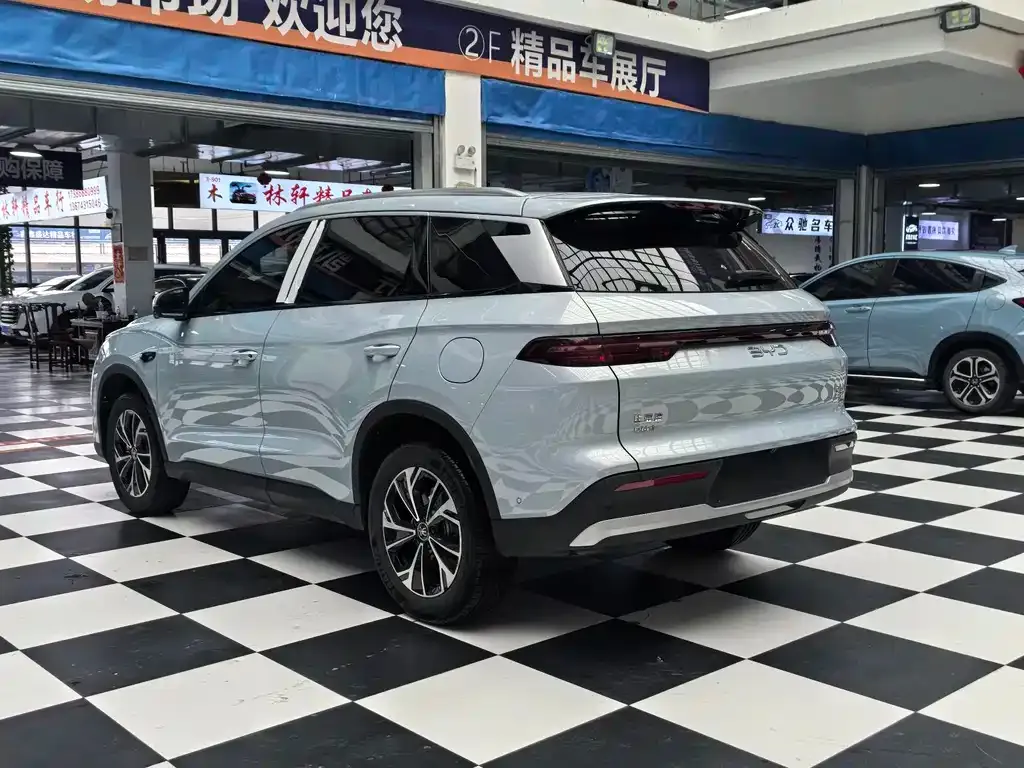BYD Pro New Energy — фото 9