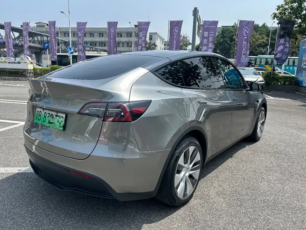 Tesla Model Y — фото 9
