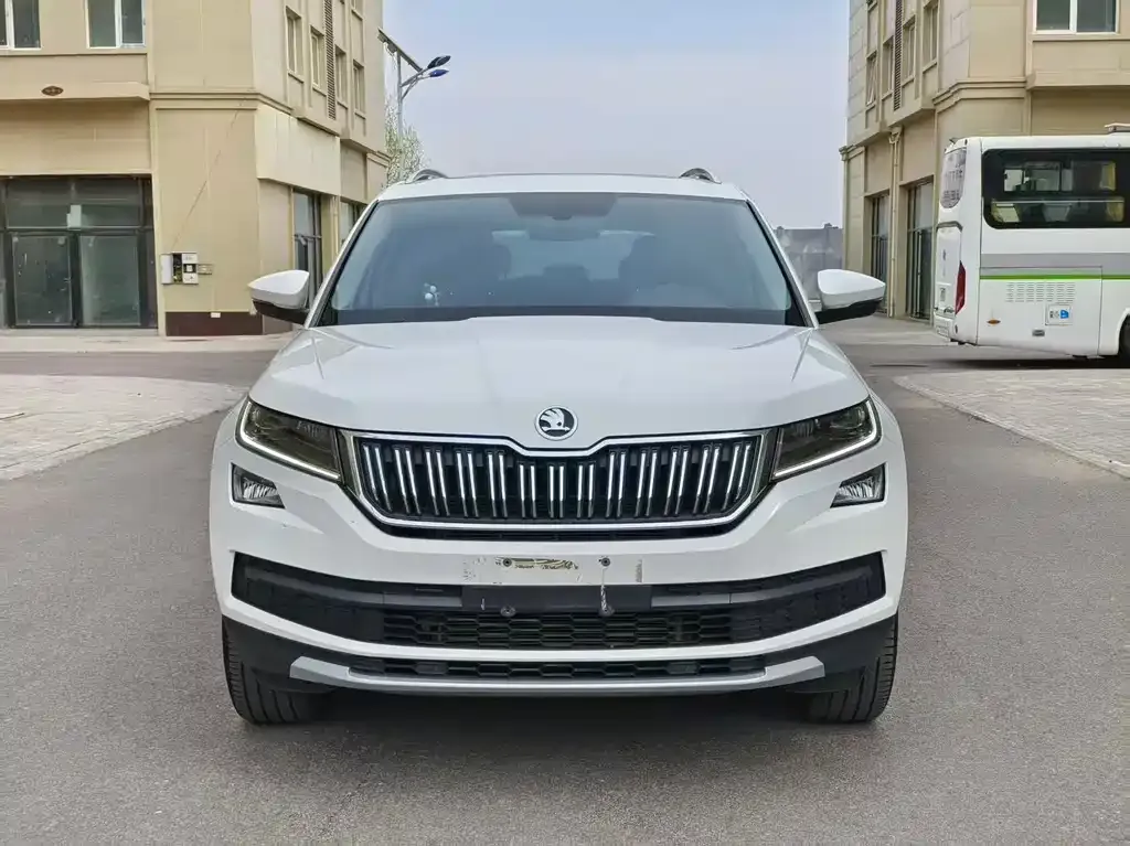 Skoda Kodiaq 2022 из CN, фото 9