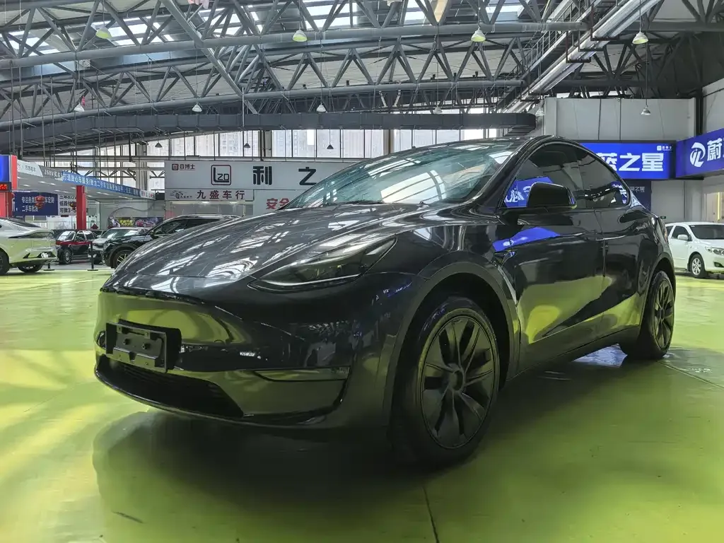 Tesla Model Y — фото 1