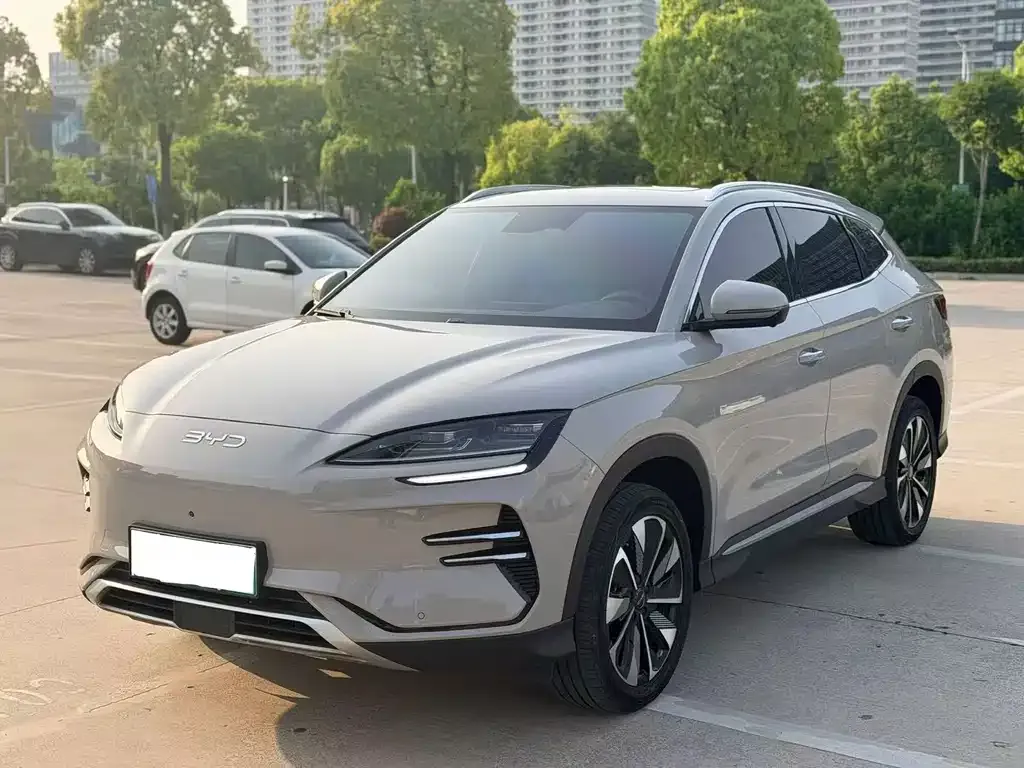 BYD PLUS New Energy — фото 1