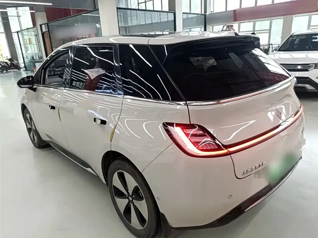 Baojun Yunduo 2024 из CN, фото 7