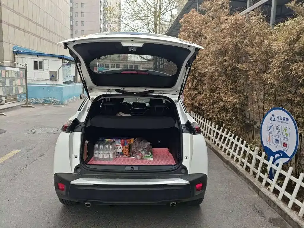 Peugeot 2008 2021 из CN, фото 9