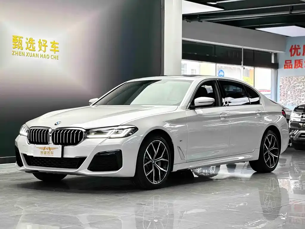BMW 5 Series 2022 из CN, фото 1