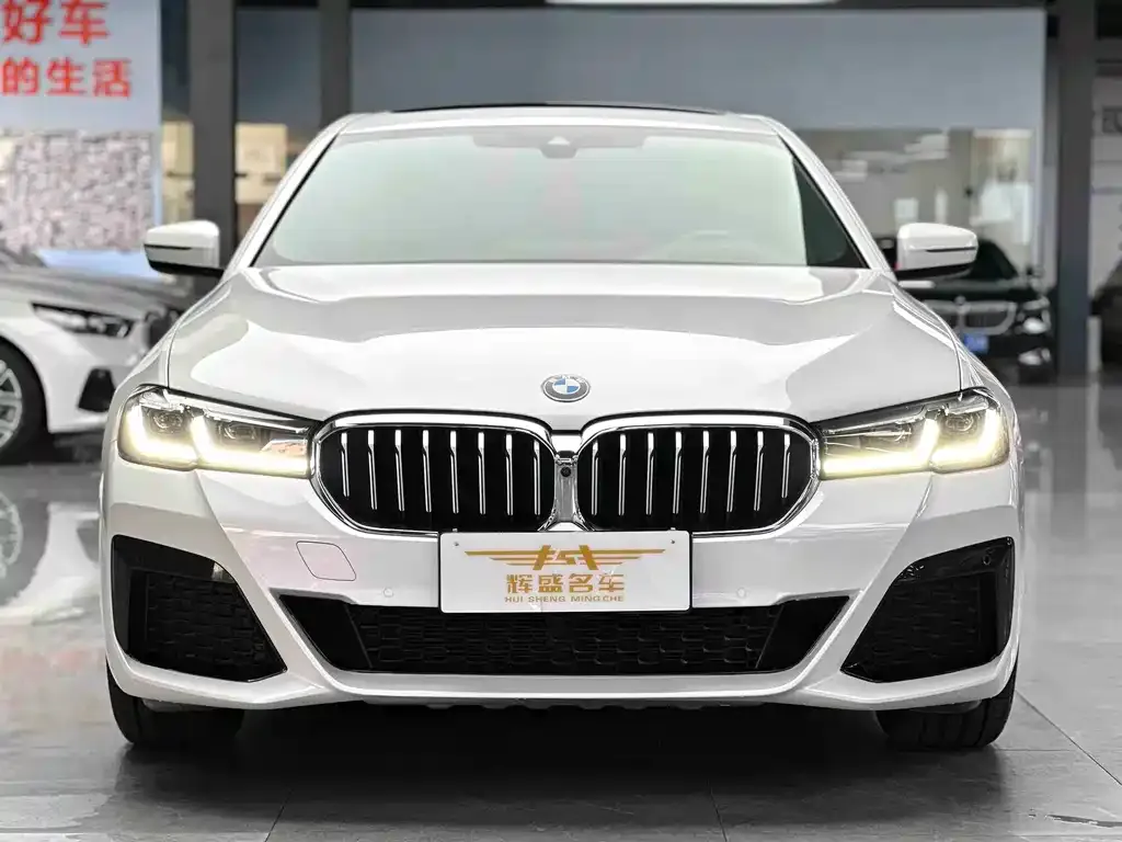 BMW 5 Series 2022 из CN, фото 5