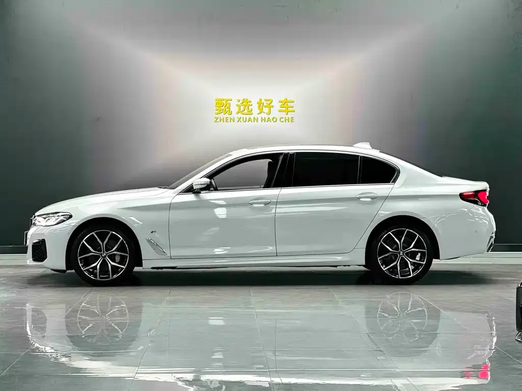 BMW 5 Series 2022 из CN, фото 9