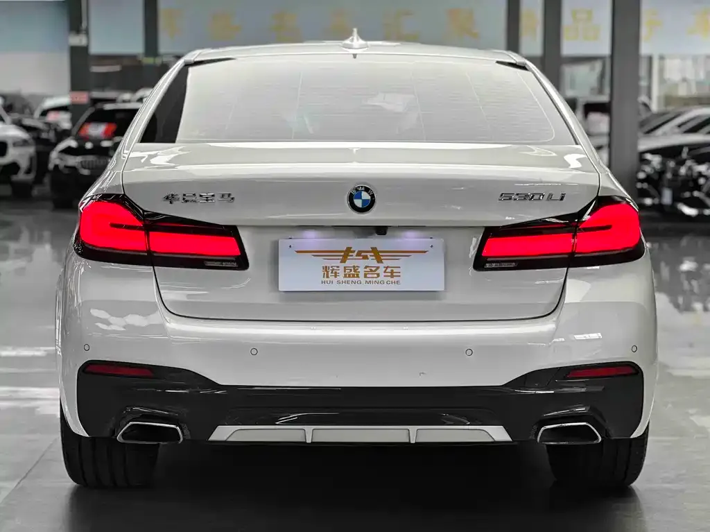 BMW 5 Series 2022 из CN, фото 6