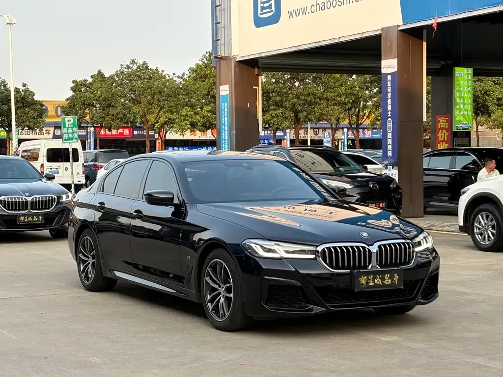 BMW 5 Series (Import) 2022 из CN, фото 5