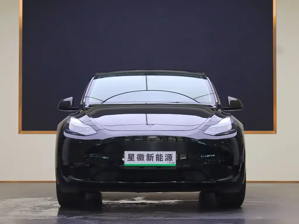 Tesla Model Y — фото 9
