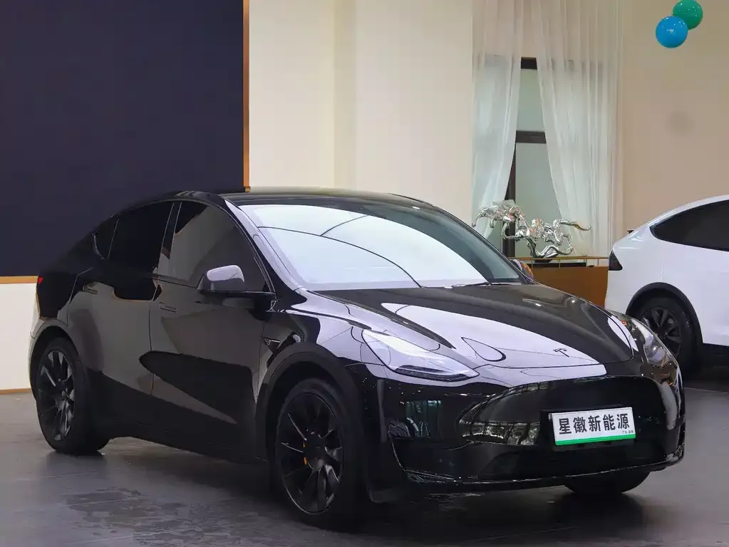 Tesla Model Y — фото 6