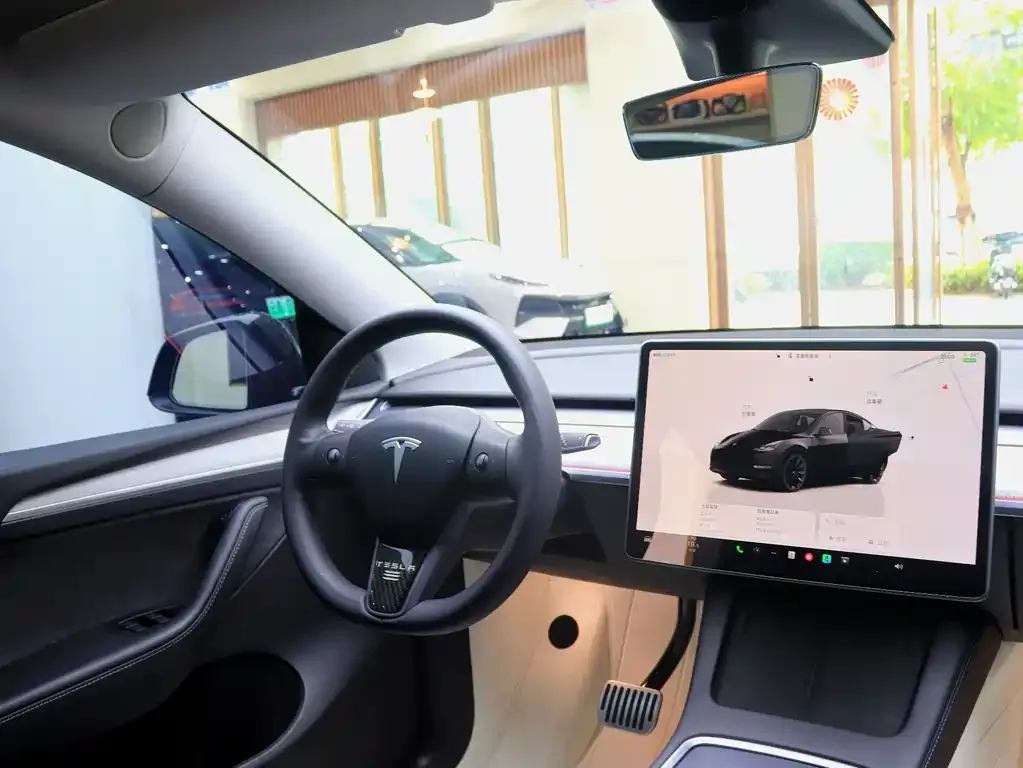 Tesla Model Y — фото 10