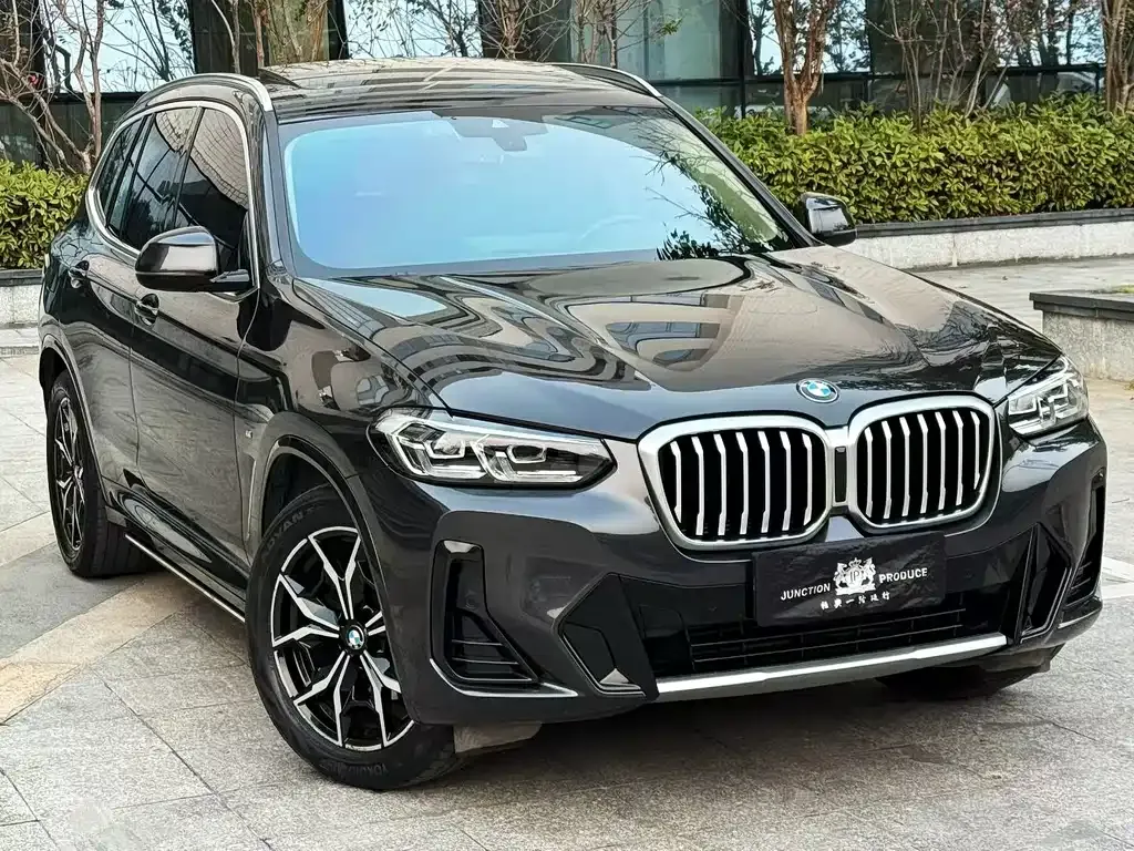 BMW X3 — фото 1