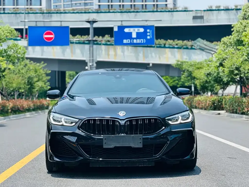BMW 8 Series — фото 7