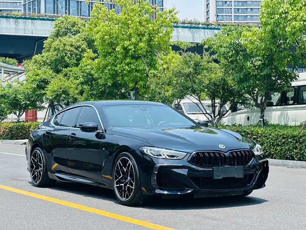BMW 8 Series — фото 8