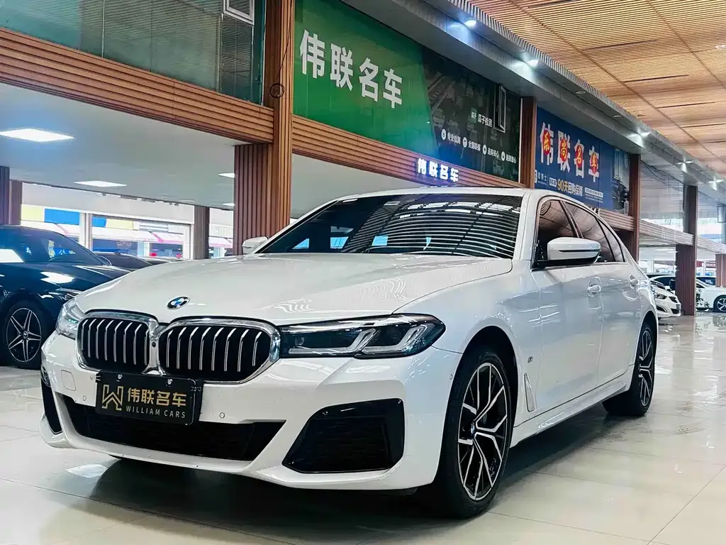 BMW 5 Series 2023 из CN, фото 1