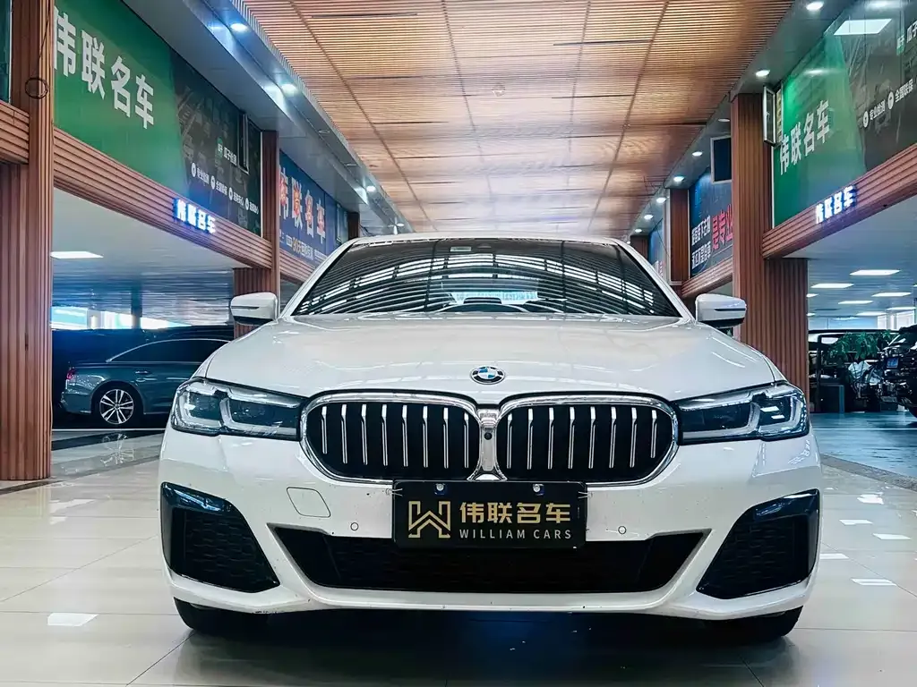 BMW 5 Series 2023 из CN, фото 8