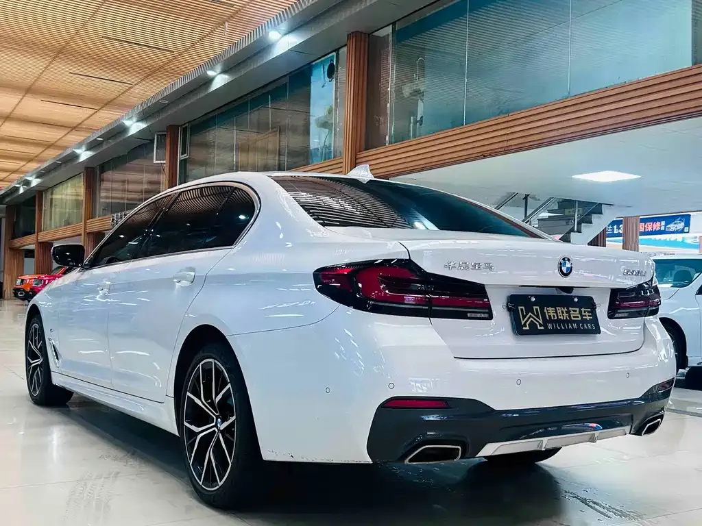 BMW 5 Series 2023 из CN, фото 10