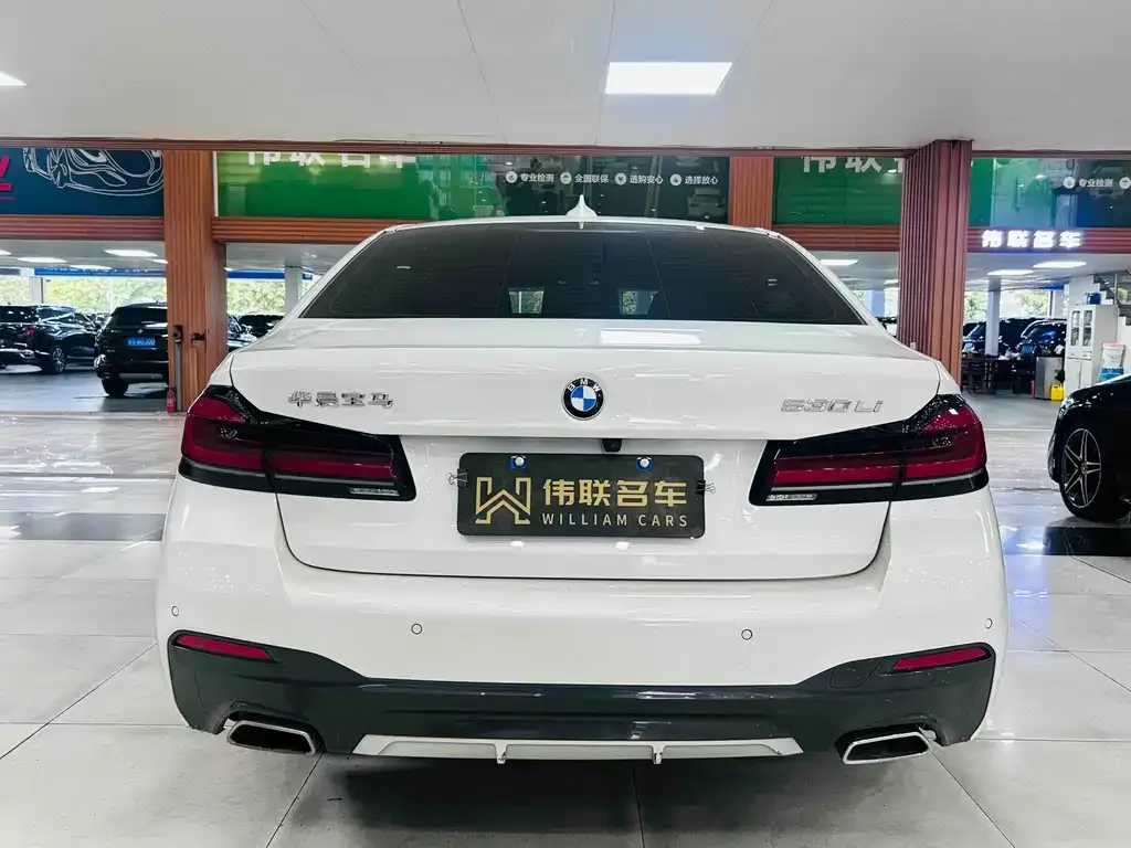 BMW 5 Series 2023 из CN, фото 9