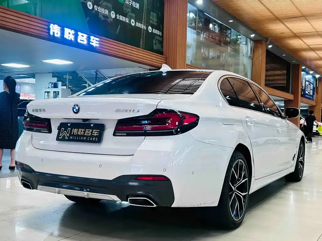 BMW 5 Series 2023 из CN, фото 6
