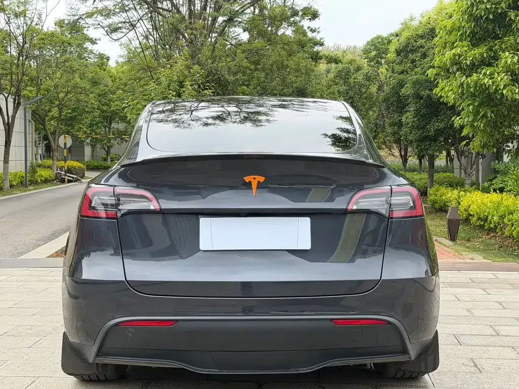 Tesla Model Y — фото 9