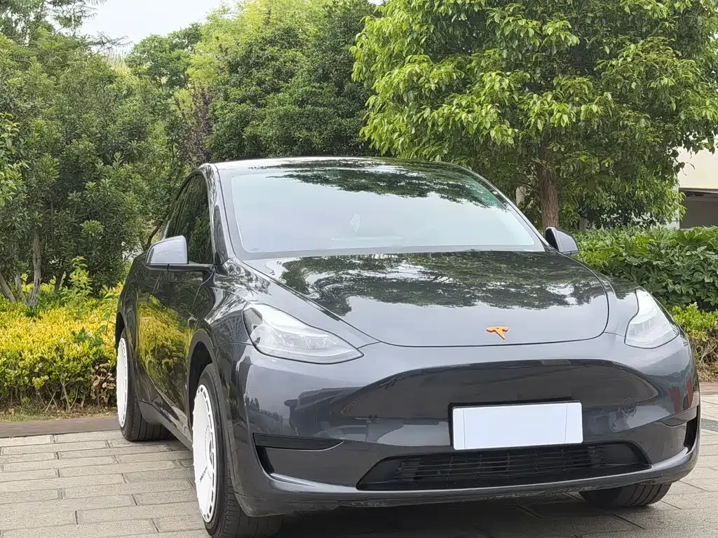 Tesla Model Y — фото 10