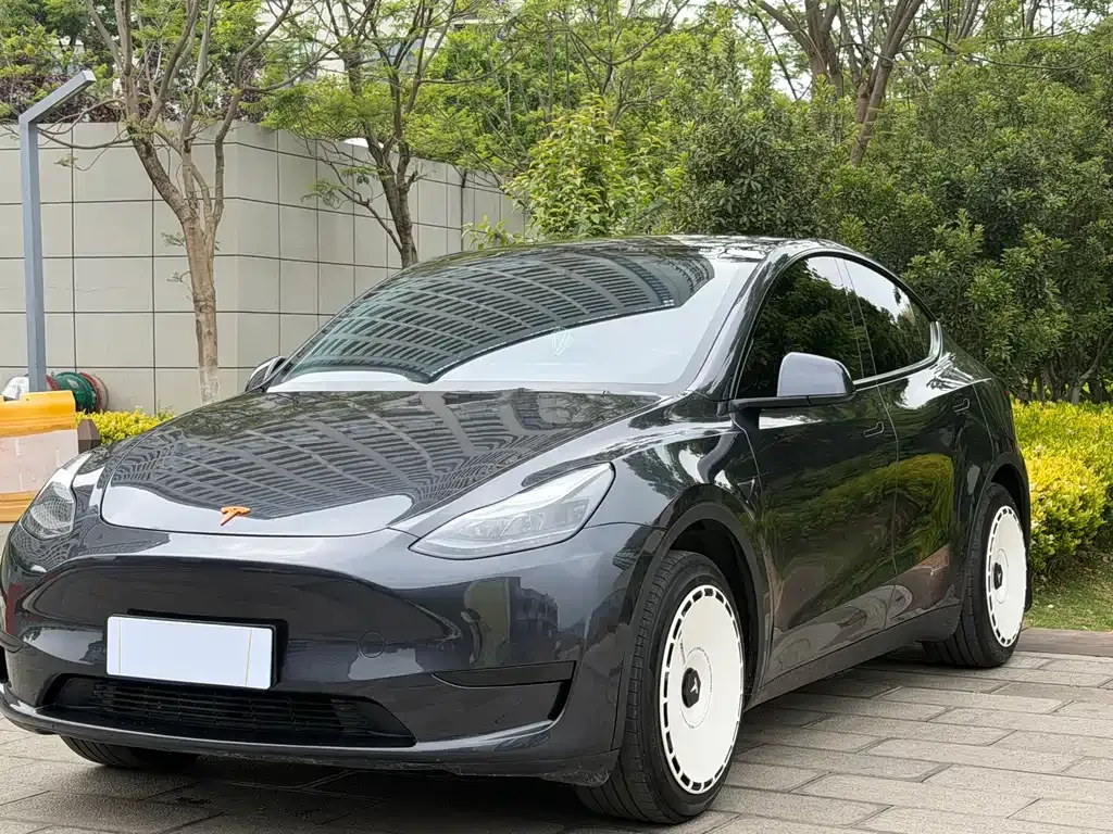 Tesla Model Y — фото 8