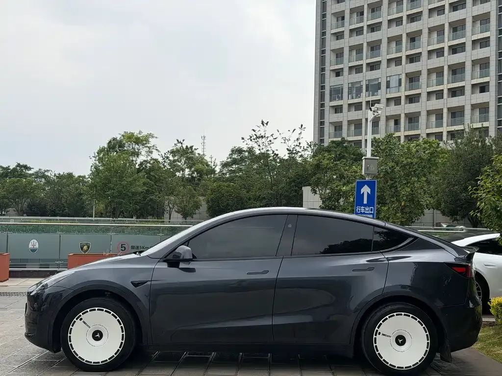 Tesla Model Y — фото 7