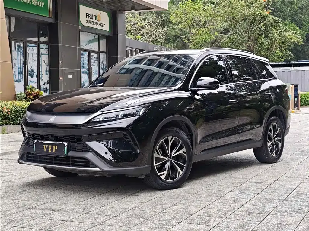 BYD Pro New Energy — фото 1