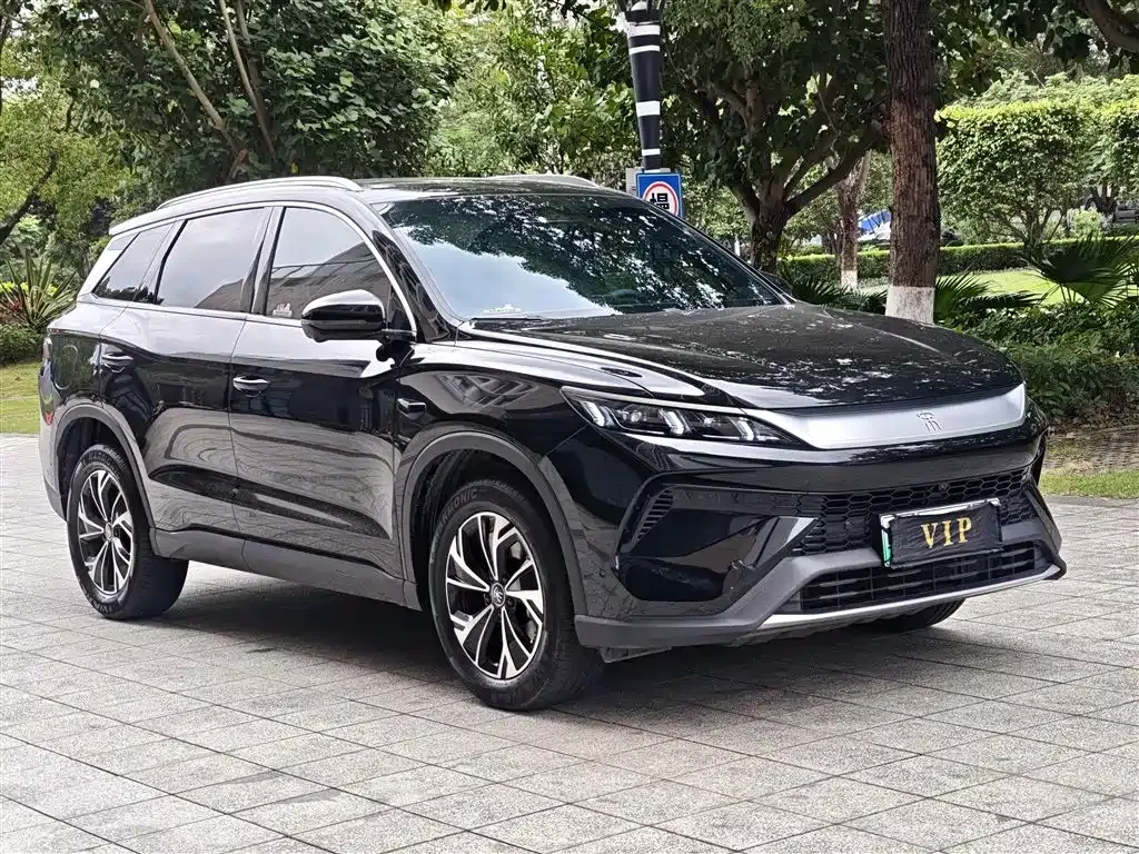 BYD Pro New Energy — фото 9