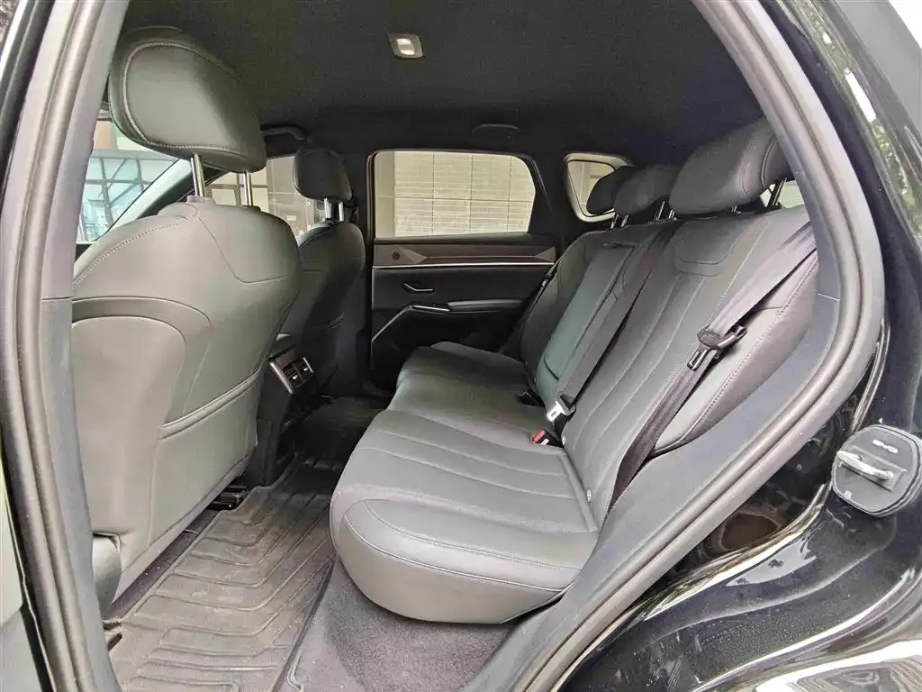 BYD Pro New Energy — фото 2