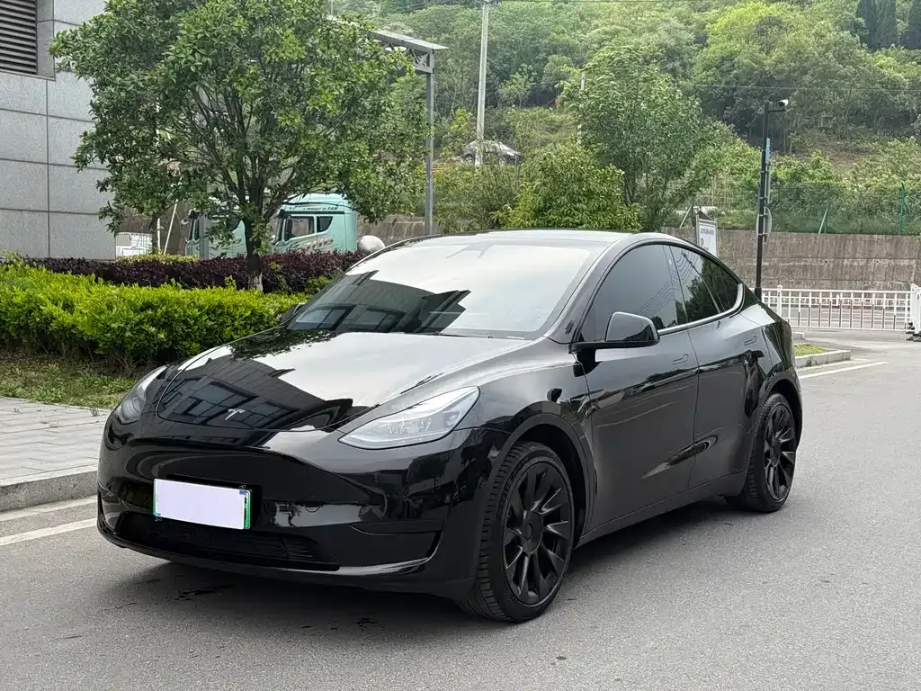 Tesla Model Y — фото 1
