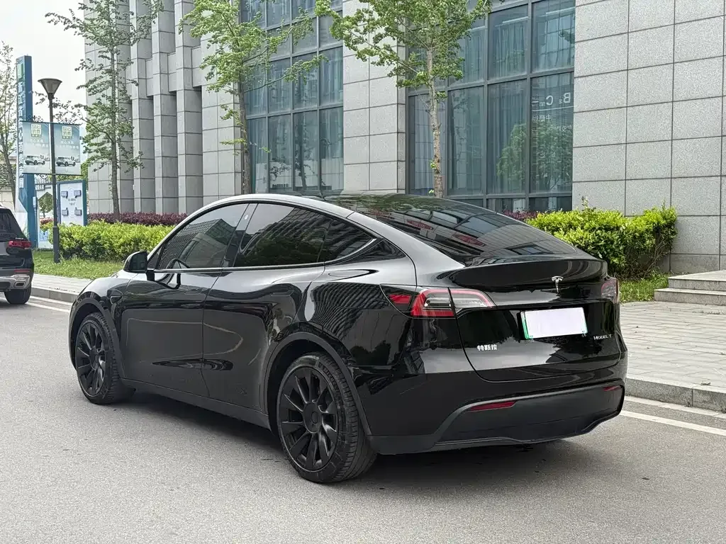 Tesla Model Y — фото 9