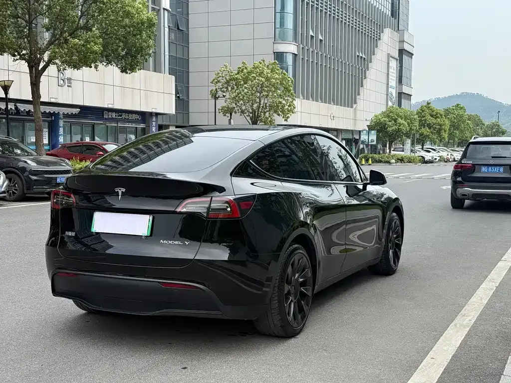 Tesla Model Y — фото 10