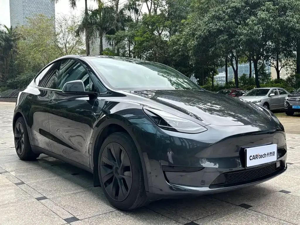 Tesla Model Y — фото 8