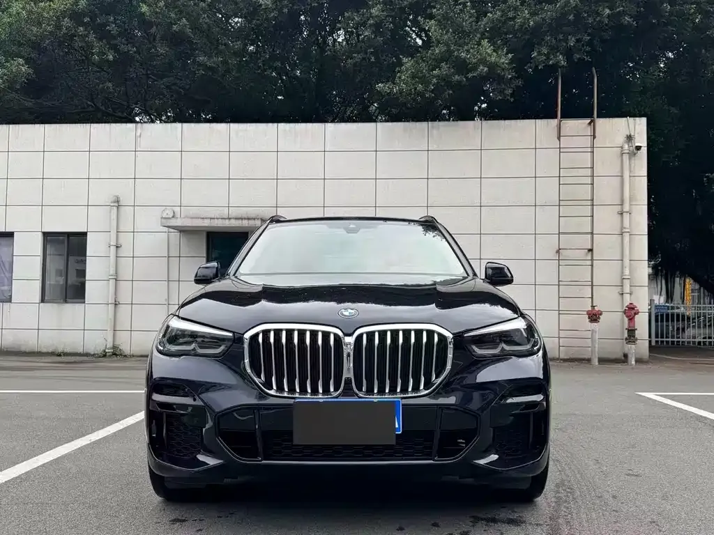 BMW X5 (Import) 2022 из CN, фото 3