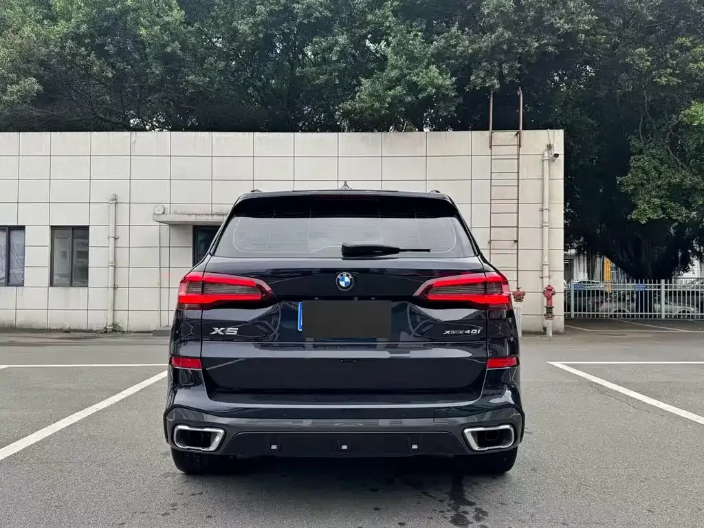 BMW X5 (Import) 2022 из CN, фото 8