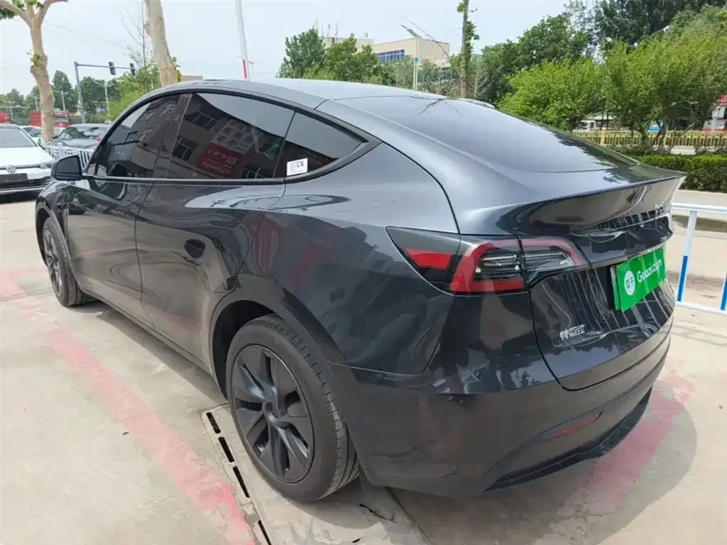 Tesla Model Y — фото 6