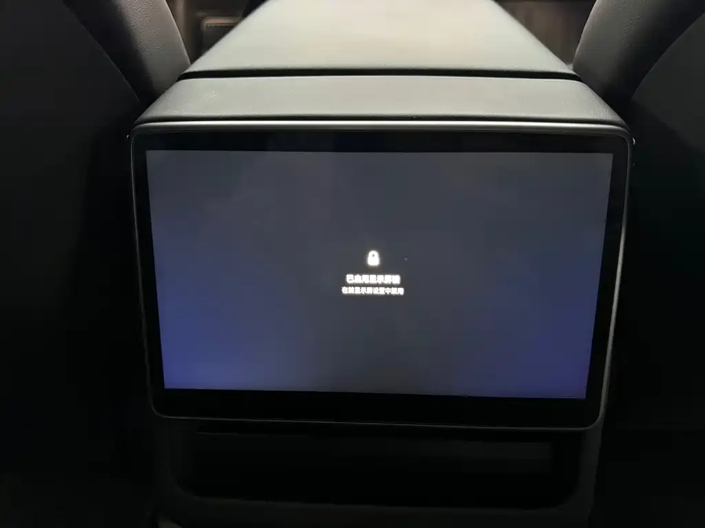 Tesla Model 3 2024 из CN, фото 2