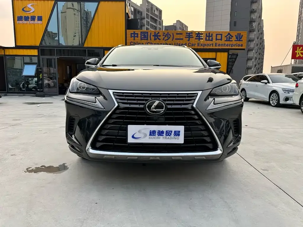 Lexus NX 2021 из CN, фото 10