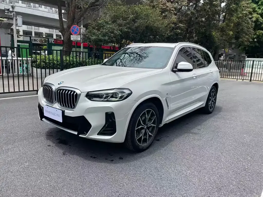 BMW X3 — фото 1