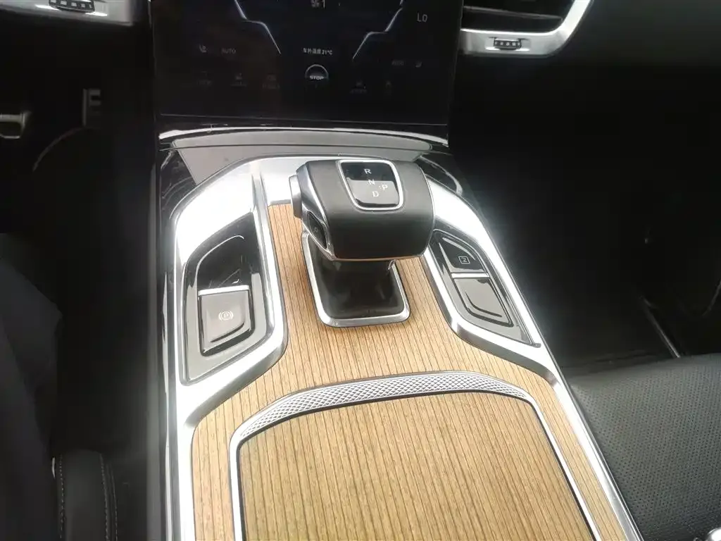 Hongqi E-HS9 2023 из CN, фото 8