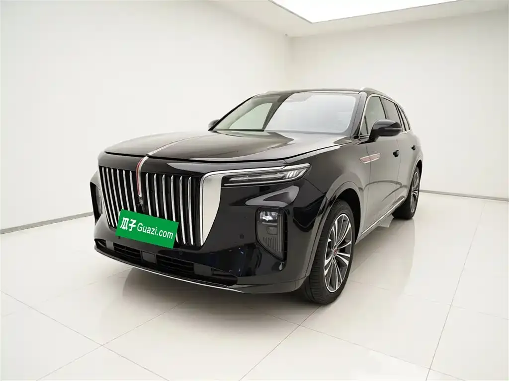 Hongqi E-HS9 2023 из CN, фото 7