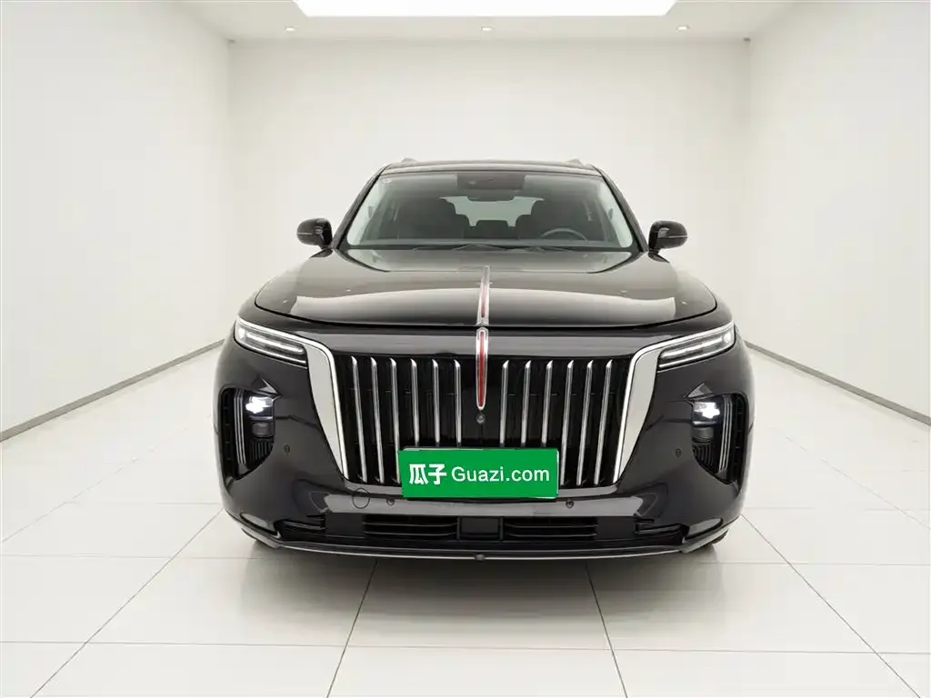 Hongqi E-HS9 2023 из CN, фото 6
