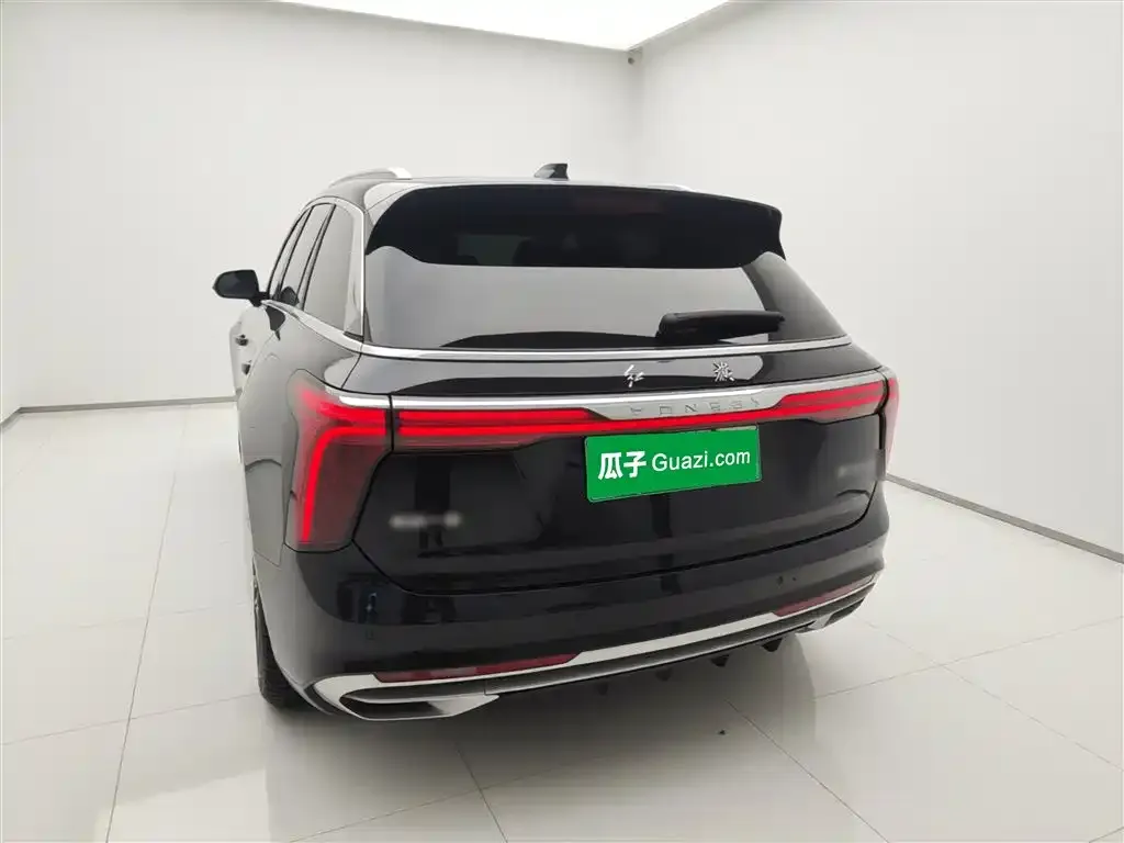 Hongqi E-HS9 2023 из CN, фото 4