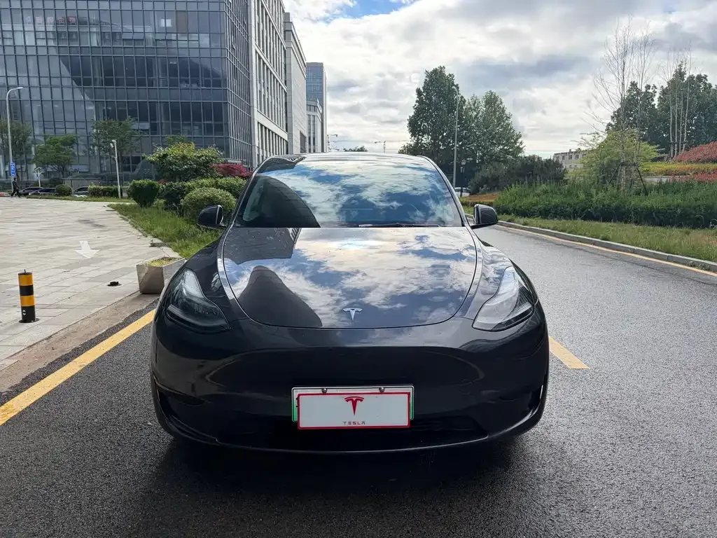 Tesla Model Y — фото 4