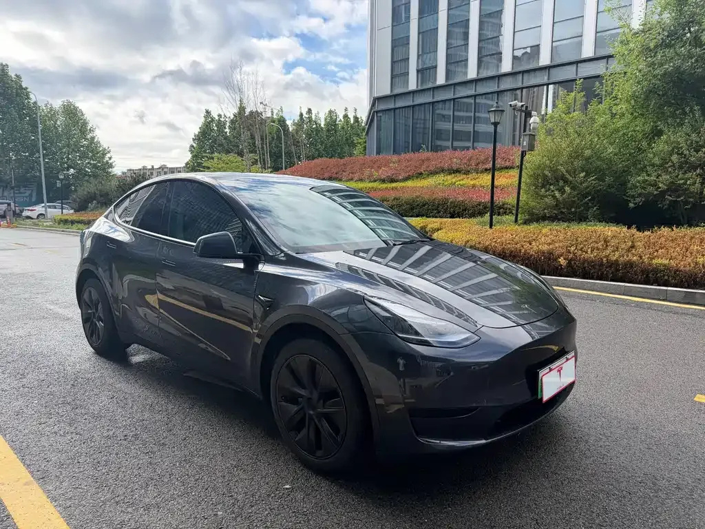 Tesla Model Y — фото 5